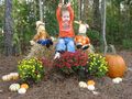 Filename=FallScene.JPG
Filesize=172KiB
Dimensions=640x480
Date added=Oct 20, 2008 FallScene.JPG