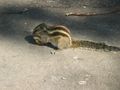 IMG_1672.jpg