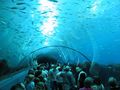 IMG_9318.jpg