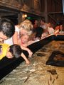 IMG_9412.jpg