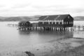 coast03.jpg