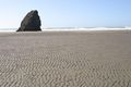 coast06.jpg