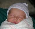 Filename=ethan1.jpg
Filesize=38KiB
Dimensions=600x488
Date added=Jun 07, 2005 ethan1.jpg