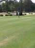 Filename=golfing4.jpg
Filesize=60KiB
Dimensions=442x600
Date added=Jun 01, 2005 golfing4.jpg