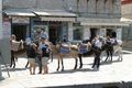 Filename=greekisl3.jpg
Filesize=65KiB
Dimensions=600x400
Date added=Aug 09, 2005 greekisl3.jpg