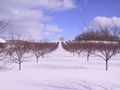 michigan03.jpg
