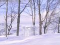 michigan10.jpg