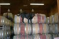 napa03.jpg