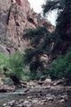 Filename=utah5.jpg
Filesize=66KiB
Dimensions=398x600
Date added=Jul 11, 2005 utah5.jpg