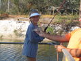 Filename=378_7814_1.JPG
Filesize=412KiB
Dimensions=614x460
Date added=Nov 03, 2005 378_7814_1.JPG